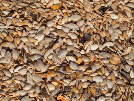 Photo on top of a mixture of pumpkin and melon seeds for a food background. Natural background of the seed textureの写真素材