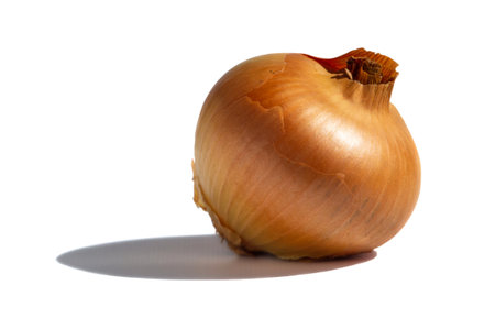 Golden onion bulb on a white background. Natural unprocessed unpeeled onion bulb close-up on whiteの写真素材