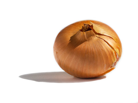 Onion isolated on white. Golden ripe onion on a white backgroundの写真素材