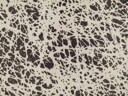 Texture of the surface of speckled paper macro photo. white with black spots paper backgroundの写真素材