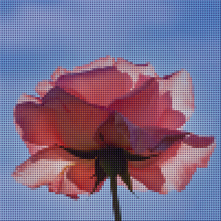 A beautiful pink rose flower on a blue sky background made of multicolored dots-circles, stylized as beadwork or diamond mosaicのイラスト素材