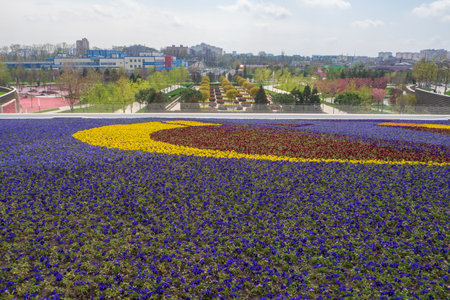 View of Krasnodar from the flower meadow in Galitsky Parkの写真素材