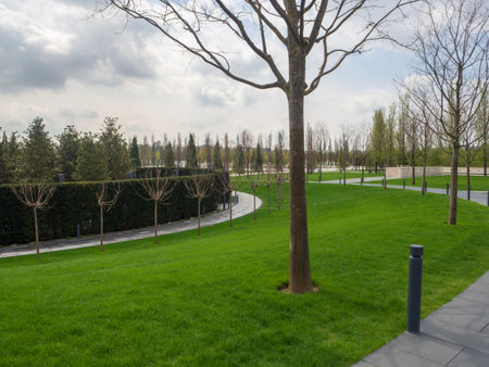 A public park in early spring. Lawn and walking paths in Galitsky Park in Krasnodarの写真素材