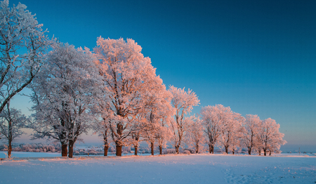 Winter landscapes, road, snow-covered trees,の写真素材