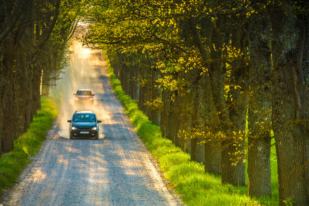 Road on an oak alley. Dirt road, dust, Car. Nature landscae.の写真素材
