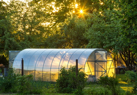 Greenhouse on the precinct. Private garden. Sunset light.の写真素材