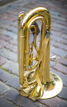 Elements of ornaments and flowers. Song and dance festival in Latvia. Procession in Riga. Latvia 100 years.の写真素材