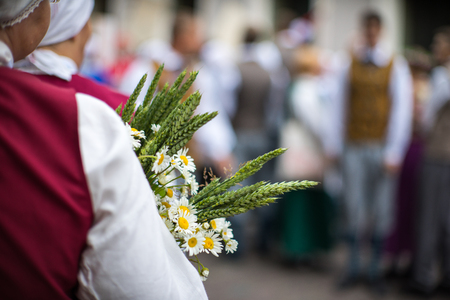 Elements of ornaments and flowers. Song and dance festival in Latvia. Procession in Riga. Latvia 100...