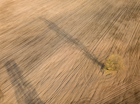 A field and a lonely tree. Spring arable land.  View from above.の写真素材