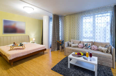 Light spacious studio apartment. Furniture and tv. Table with food.の写真素材