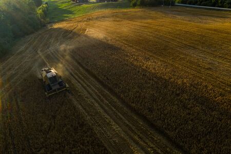 Harvester machine on the field. Green trees. Field of ripe wheat. Farmers' work.