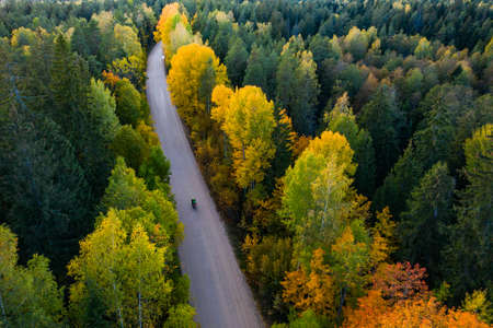 Trees in autumn colors. View of forest and road from above. Latvian nature.