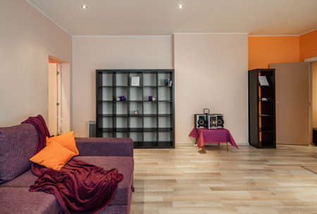 Cozy sofa. Shelves. Laminate floor. Orange pillows.