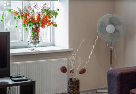 Light apartment. Vase on the windowsill. Cooler.の写真素材