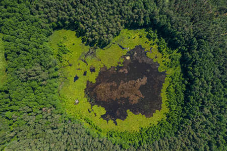 View from above of swamp lake in the forest. Scenic landscape of summer latvian nature.の写真素材