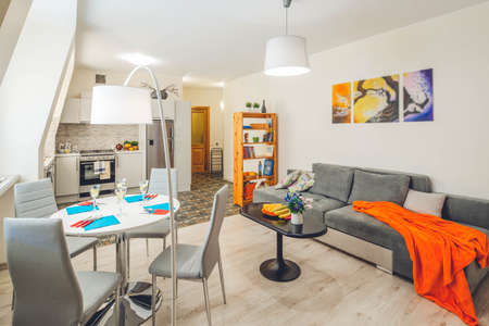 Living room and kitchen in studio apartment. Grey furniture. Kitchen set. Private house.