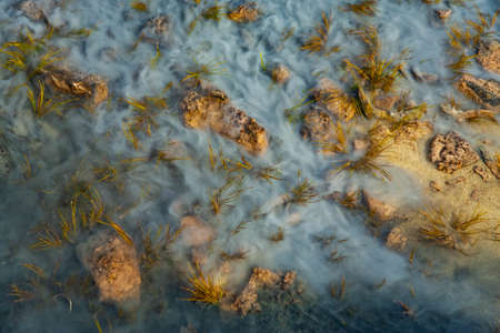 A thick fog creeping over the ground. Green grass. Close-up.
