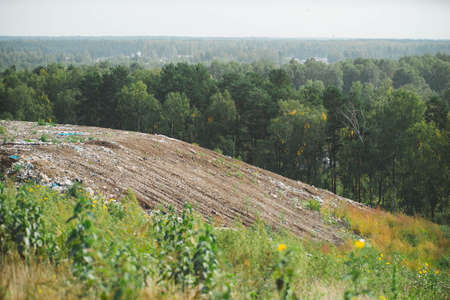 The slope of dump among green forest. Environmental pollution. Waste sorting on landfill of big...