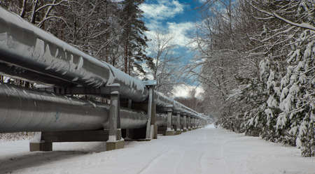 Huge industrial pipelines of central heating system. Snow on pipes. Winter pine forest. Beautiful nature. Cloudy sky.の写真素材