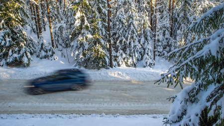 Scenic landscape of winter forest. Pine and spruce trees covered by snow. Car on road in motion. Beautiful nature.の写真素材