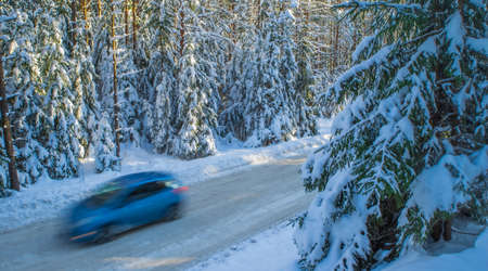 Scenic landscape of winter forest. Pine and spruce trees covered by snow. Car on road in motion. Beautiful nature.の写真素材