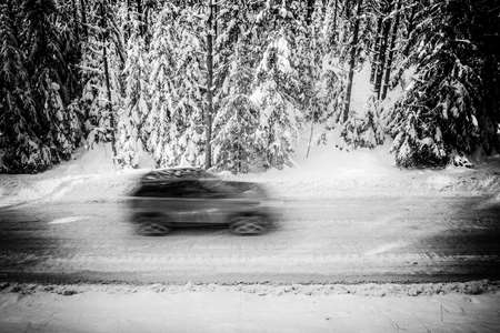 Scenic landscape of winter forest. Pine and spruce trees covered by snow. Car on road in motion. Black and white.の写真素材