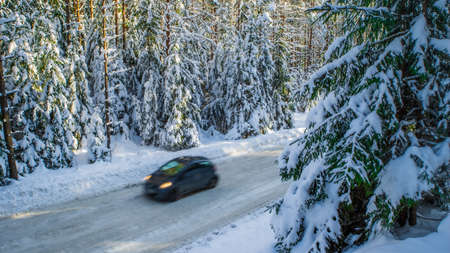 Scenic landscape of winter forest. Pine and spruce trees covered by snow. Car on road in motion. Beautiful nature.の写真素材