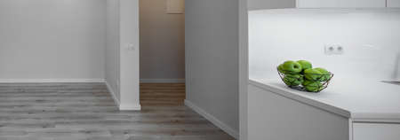Contemporary interior of modern studio apartment without furniture. Green apples in vase. White...