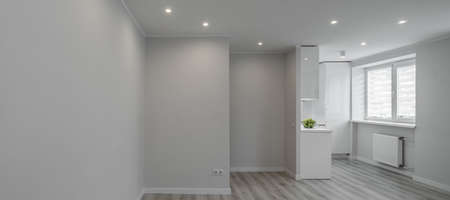 Modern light interior of renovated studio apartment without furniture. Empty living room and white kitchen. Apples in bowl.の写真素材
