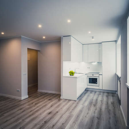 Modern interior of luxury studio apartment after renovation. White kitchen with fridge and oven....