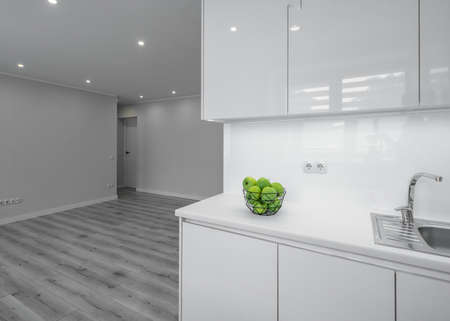 Contemporary interior of modern studio apartment without furniture. Green apples in vase. White kitchen with sink.の写真素材