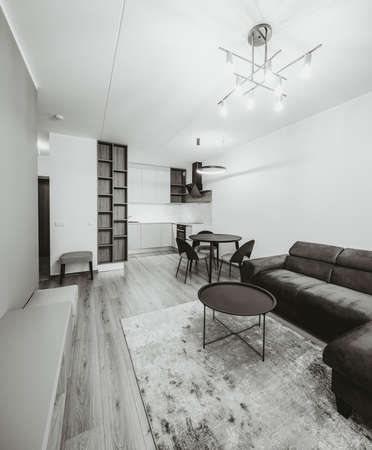 Modern light interior of studio apartment. Kitchen. Living room.の写真素材