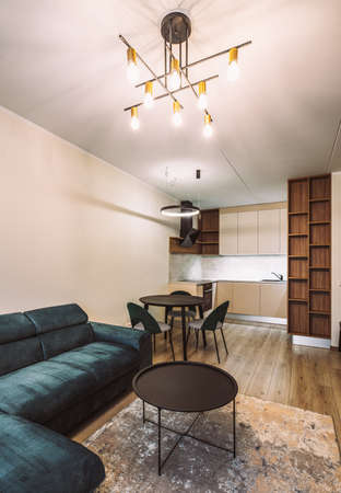 Modern light interior of studio apartment. Kitchen. Living room.の写真素材