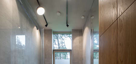 Modern interior of bathroom in private house. Grey tile. Ceiling with lamps.