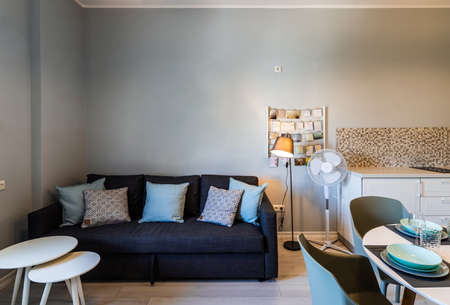 Modern interior of living room in studio apartment. Grey tones. Lamp near cozy couch with cushions....