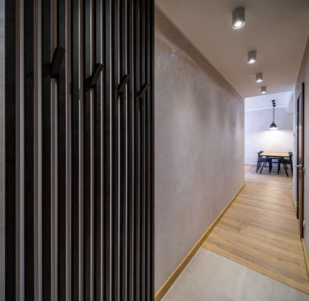 Modern interior of hallway in apartment. Home design.の写真素材