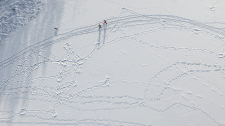 Chains of footprints in the snow. Top drone view. Skiing people.の写真素材