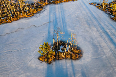 Scenic landscape of swamps at sunny day at early spring.