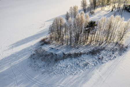 Aerial view of winter forest. Snowy naked trees. Beautiful nature.の写真素材