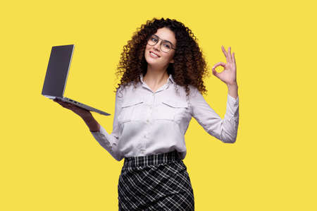 Happy smiling female wearing white shirt holding laptop and showing OK gesture on yellow isolated background. Concepts of online shopping, internet bankingの写真素材