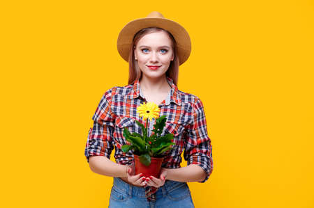 Young caucasian woman wearing straw hat plaid shirt holding flower gerbera in a pot in her hands on a yellow isolated backgroundの写真素材