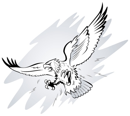 Spread Winged Eagle with Claws のイラスト素材