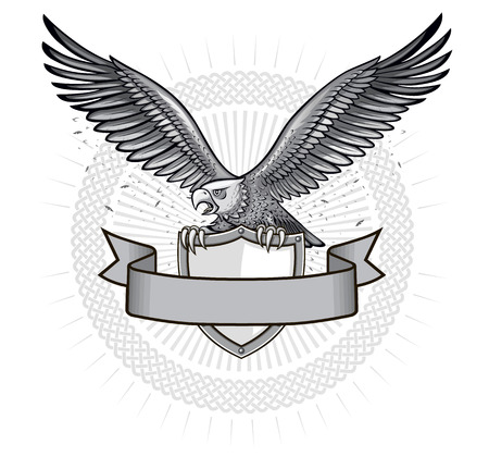 Spread winged eagle insignia. Eagle on the shield emblemのイラスト素材