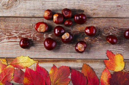 Autumn background. Leaves and chestnuts on wooden boards. Autumn conceptの写真素材