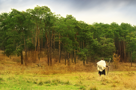Ancient Barbarian in the woodsの写真素材