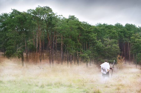 Ancient Barbarian in the woodsの写真素材