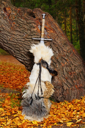 Sword of the tree. の写真素材
