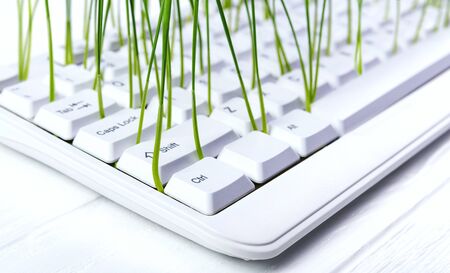White keyboard with young and green sprouts. Concept.の写真素材