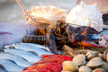 On the table are seafood: big fish, smaller fish, lobsters, mussels, oysters. The table stands on a pebble beach on the surf line.の写真素材