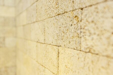 Decorative yellow shell tiles on the wall.の写真素材